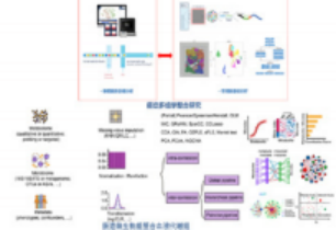 1758986324869651.gif image.gif