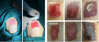 1773304704354554.png image.png